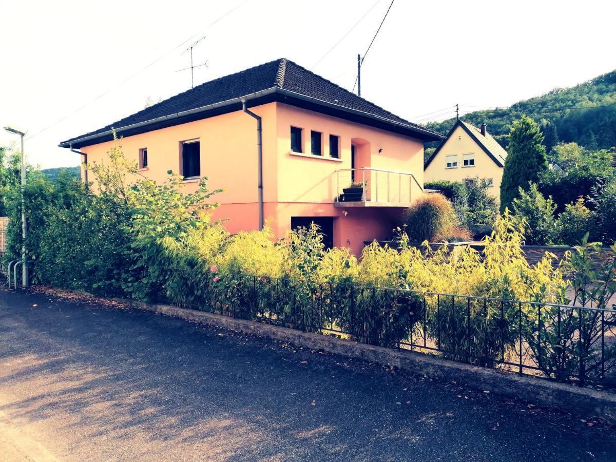 Le Ptit Lou Apartment Kaysersberg-Vignoble Exterior foto